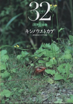 Amazon.co.jp: 週刊 日本の天然記念物 動物編 キシノウエトカゲ 32