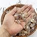 0.96LB Natural Crushed Stones Aquarium Gravel Vase Filler Succulent Rocks Fish Tank Decor Pebbles Polished Irregular Shaped Bulk - White