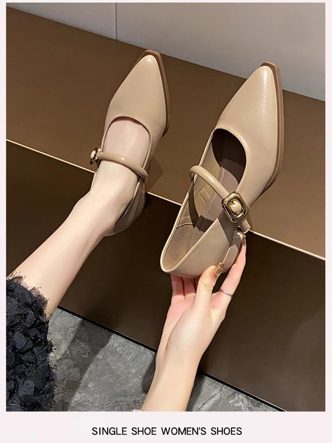 ZQW Women's Pointed Toe Ballet Flats Mary Jane Low Block Heel Buckle Design Elegant Comfort Shoes Daily Office Evening2