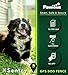 Pawious GPS Dog Fence XSentry - Radius from min 33 to max 1000 Yards, No False Triggers, IPX7 Waterproof, Containment System for Medium and Large Dogs