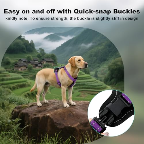 Plutus Pet No Pull Dog Harness with Leather Accents, Adjustable Reflective | Heavy Duty Nylon Pet Vest, for Training and Hiking, Front Clip, Easy Walk for Small Medium Large Dogs, Purple, M - Image 7