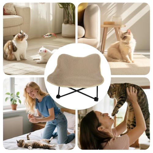 Structure en métal pour gratter et lit de repos pour chats d'intérieur destructeurs
