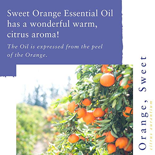 Aceite de Naranja Dulce Absolute Aromas 10ml miniatura 2