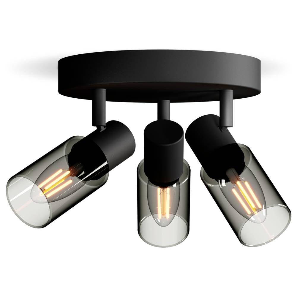 Philips Palms Spot 3 têtes sur platine ronde, E14 non inclus, Noir, IP20