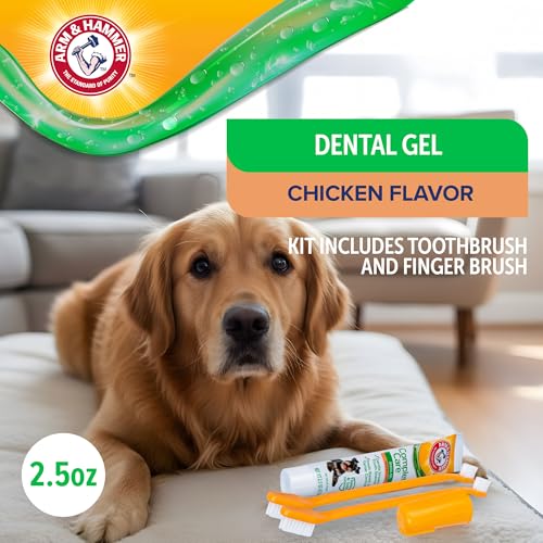 Image of Arm & Hammer Complete Care Dental Gel Dog Toothbrush Kit, Includes Gel Toothpaste, Toothbrush, and Finger Brush, Baking Soda Enhanced, Fluoride Free, Chicken Flavor, 2.5 Oz
