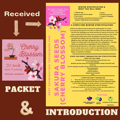 Weeping Cherry Blossom Seed Japanese Flowering Cherry Blossom Dwarf