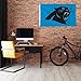 Rico Industries NFL Football Carolina Panthers Standard 3' x 5' Banner Flag