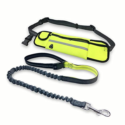 Alihoo Correa de correr con cinturón para correr, con bolsillo para perros pequeños y medianos, extensible de 140 a 160 cm (verde) Cover
