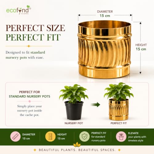 Image of ecofynd 1 Pack Metal Plant Pots (6 inch), Indoor Small Planter Flower Pots, Home Garden Decor Planter for Living Room Bedroom Interior (Gold Finish, POT050)