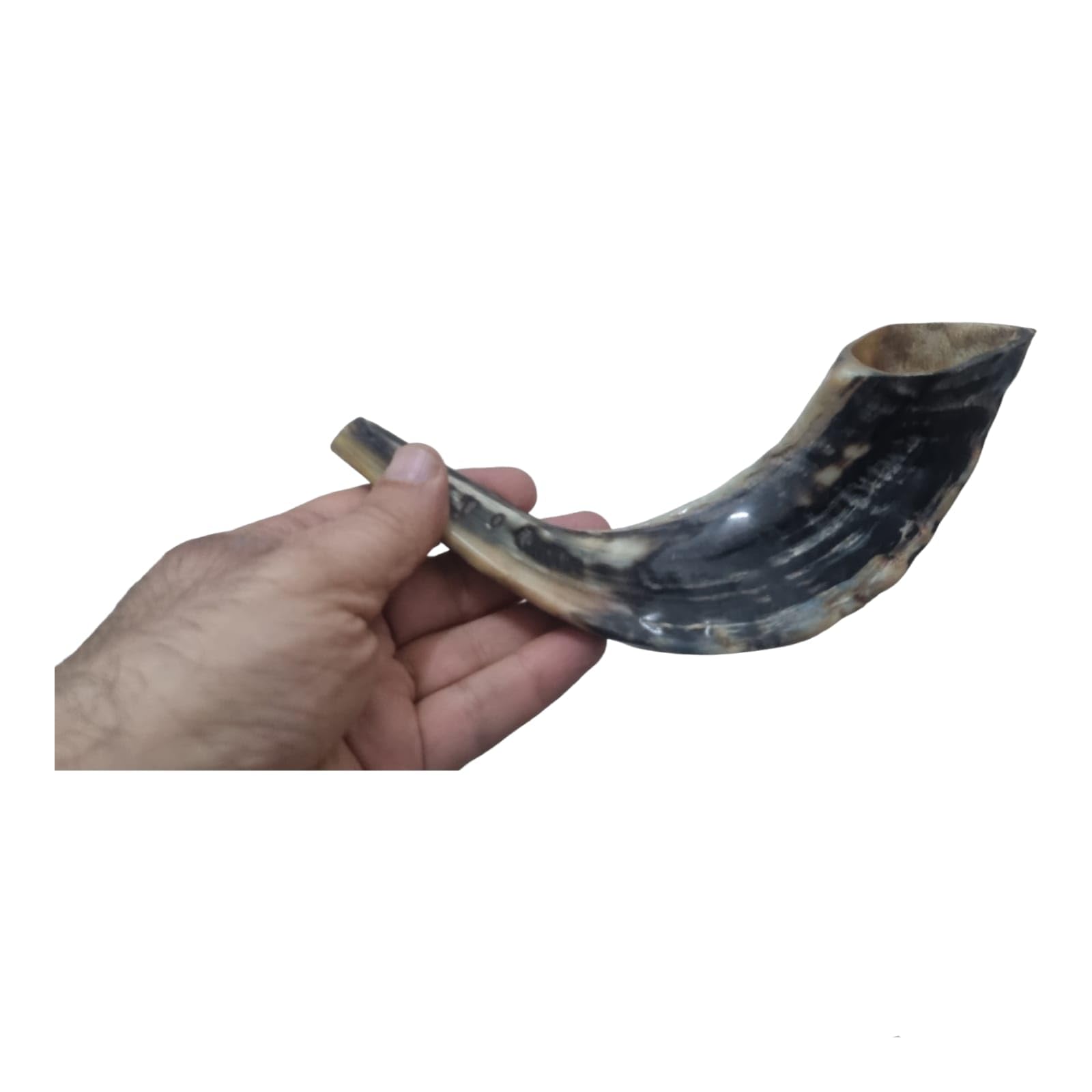 Authentic Natural Rams Ram Horn Shofar - Black & Kosher Certified Approx. 15 - Includes Odor Neutralizer product thumbnail 5