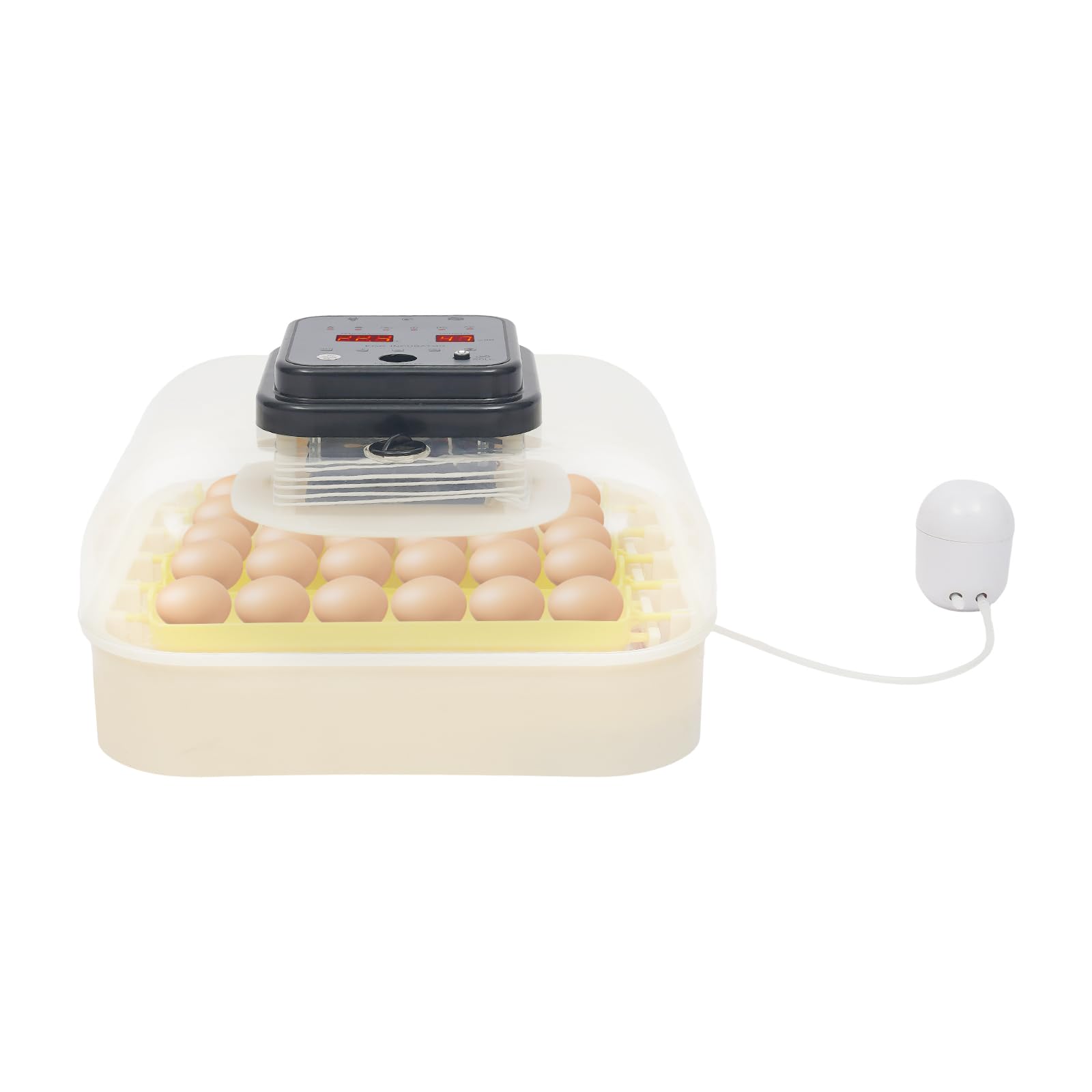 Macchina incubatrice per uova con controllo della temperatura e regolazione dell'umidità, incubatrice con funzione automatica di rotazione 30 uova