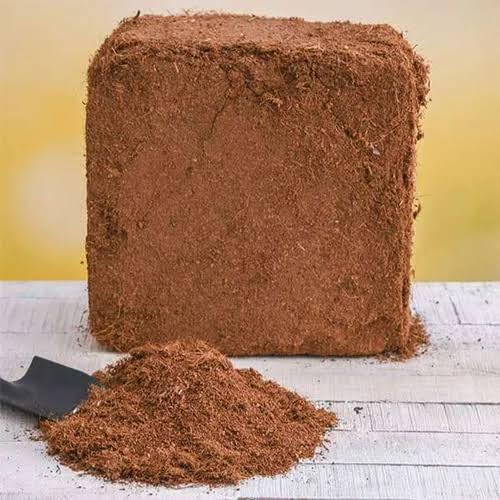 Cocopit Substrat de fibre de coco comprimé pour plantes