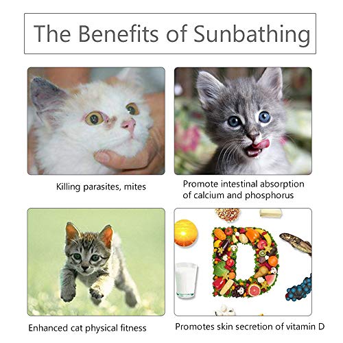 Anself Cat Window Perch Cat Hammock Janela Assento Cat Bed para Gatos