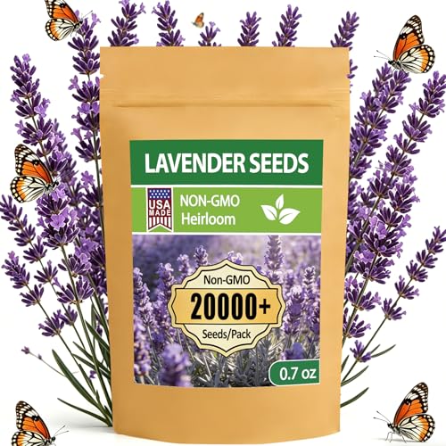 LUOJIBIE Lavender Seeds 20000+ Seeds Bulk Pack 2026 Lavender Seeds for Planting Outdoor High Germination Non-GMO Wildflower Seeds for Planting Indoor Outdoor Open Pollinated