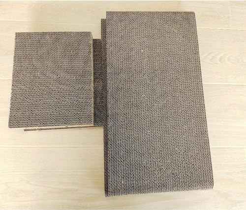 2024 L ܌nEX i{[ 13 _{[nEX ؐ LbgnEX ܂Ƃ ^ dw Lp ߂Ƃ ܂Ƃ L ܐ؂ x{bNX Lxbh ϋv _{[ ܖ ʎgp\ (pLi{[)