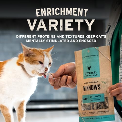 Image of Vital Essentials Freeze Dried Raw Chicken Hearts Cat Treats | Single Ingredient | Premium Quality | Grain Free, Healthy Treats for Cats, 2.75 oz Bag