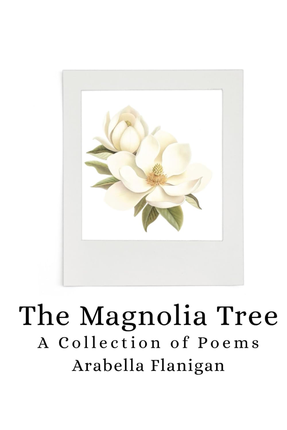 The Magnolia Tree