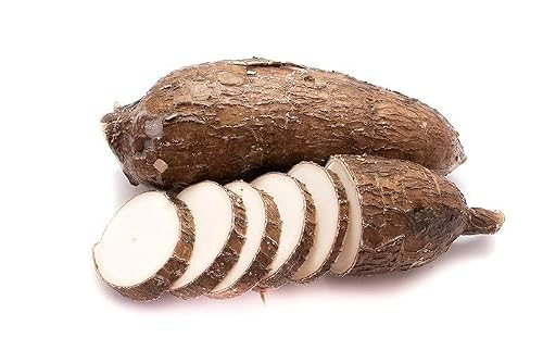 Fresh Yuca Root Cassava Manioc Mandioca produce -Fresh Whole. 5 Pounds - Thumbnail 2