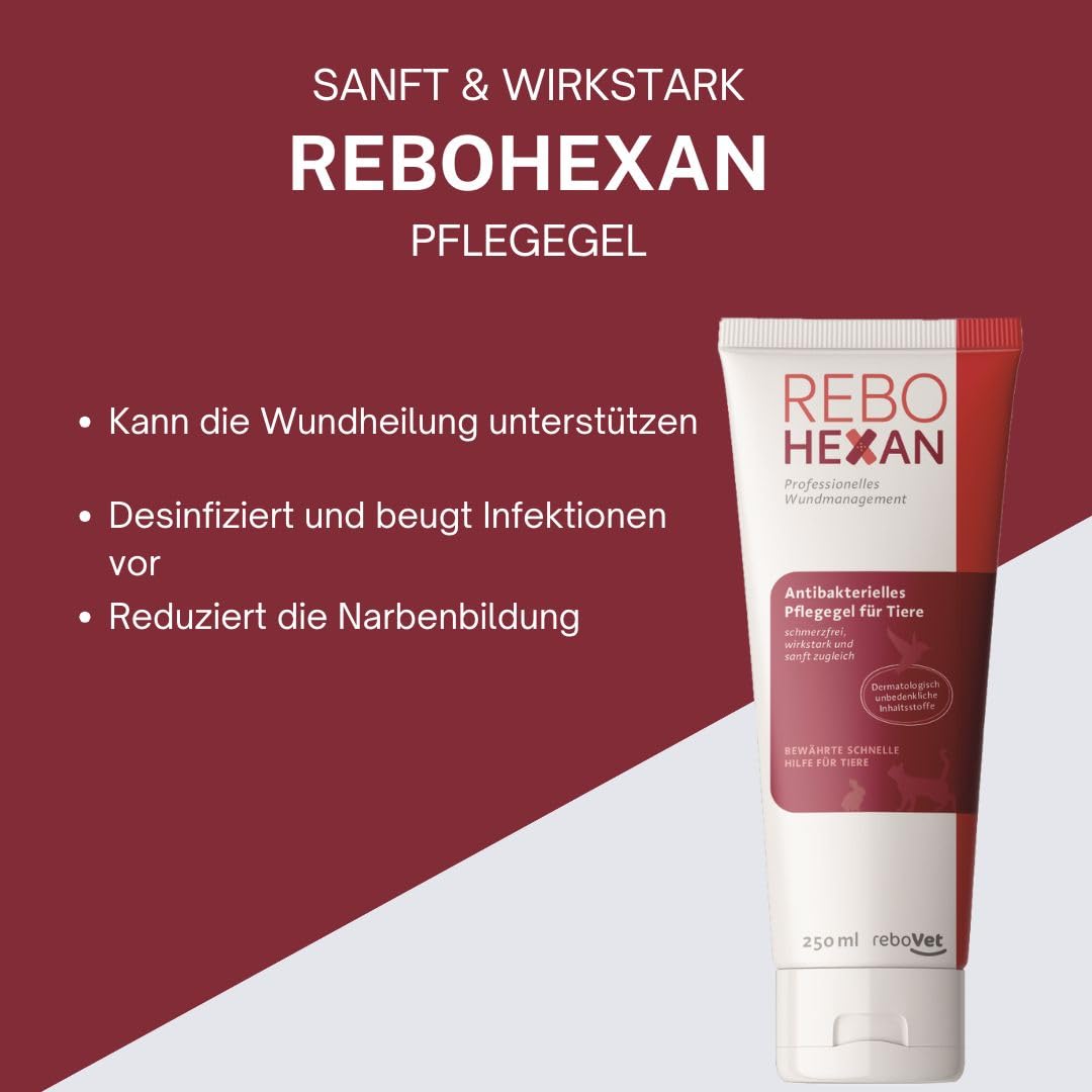 ReboHexan Gel 250 ml: Wundgel, Unterstützung der Wundheilung, Vermeidet Ankleben an Verbänden, Schmerzlose Anwendung, Alkoholfrei