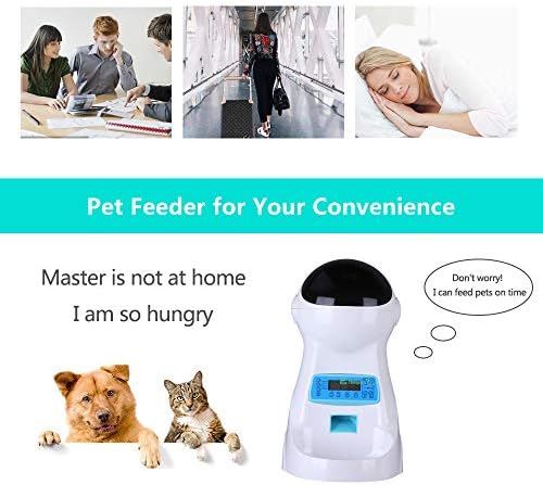 petcul automatic feeder