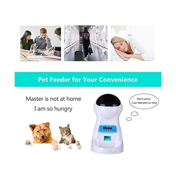 belopezz automatic feeder