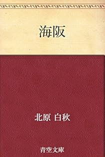 白秋全集 1〜39巻➕別巻 40冊セット 白秋全集 1〜39