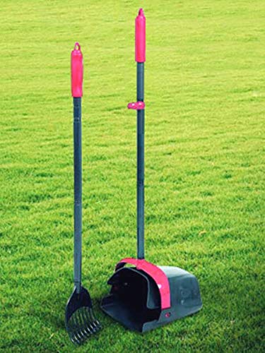 Petmate Clean Response Swivel Bin & Rake Pooper Scooper, Plastic Handle