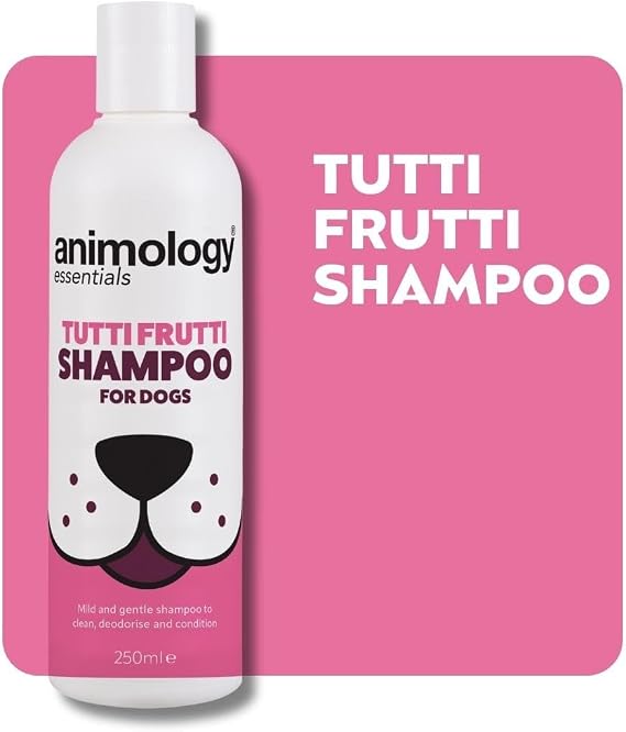 Animology Essentials Dapper Dog Shampoo Köpek Şampuanı 250 ML