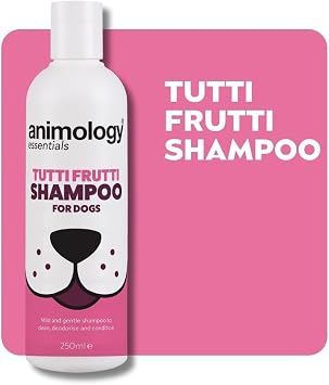 Animology Essentials Dapper Dog Shampoo Köpek Şampuanı 250 ML