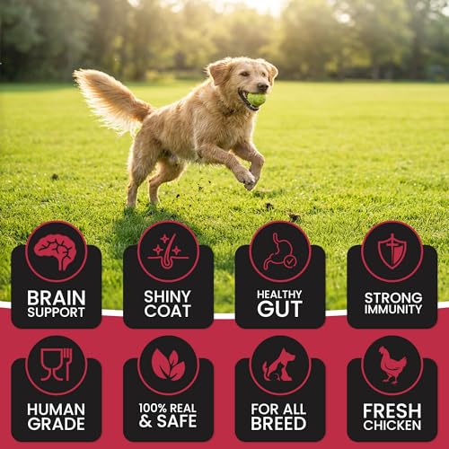 Image of Dr. Pets Pack of 5 Chicken Pomegranate Dog Chew Sticks for Dental Stick, Calcium Bone and Chicken Dog Biscuits Healthy Treats and Training Snacks Long Lasting Chew Sticks for Small and Large Breed