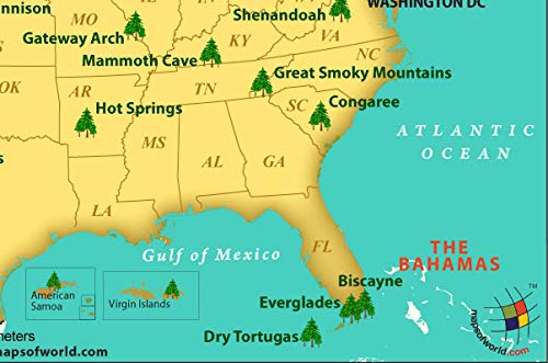Amazon | 米国国立公園地図 - ラミネート(幅36インチ×高さ22.5インチ