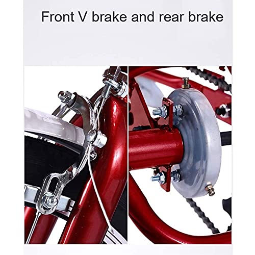 ZJZ Volwassen Driewieler Met Winkelmand Drie Wielige Fiets 16 Inch Trike Fiets Voor Winkelen Picknick Buitensporten… - Afbeelding 5