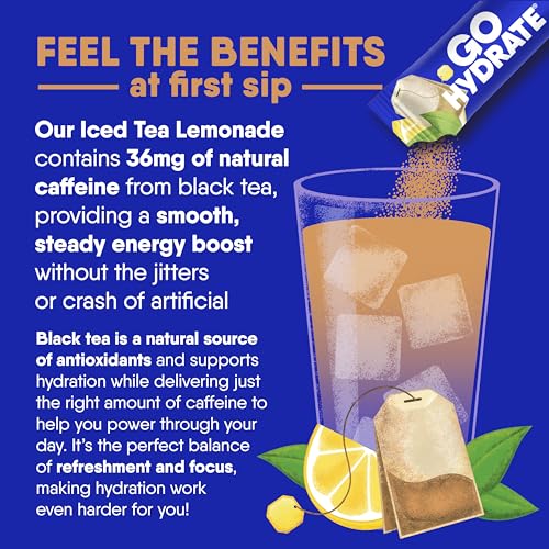 Image of GoHydrate Sugar Free Electrolytes Powder - Iced Tea Lemonade, 30 Packs