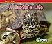 A Turtle's Life (Watch It Grow)