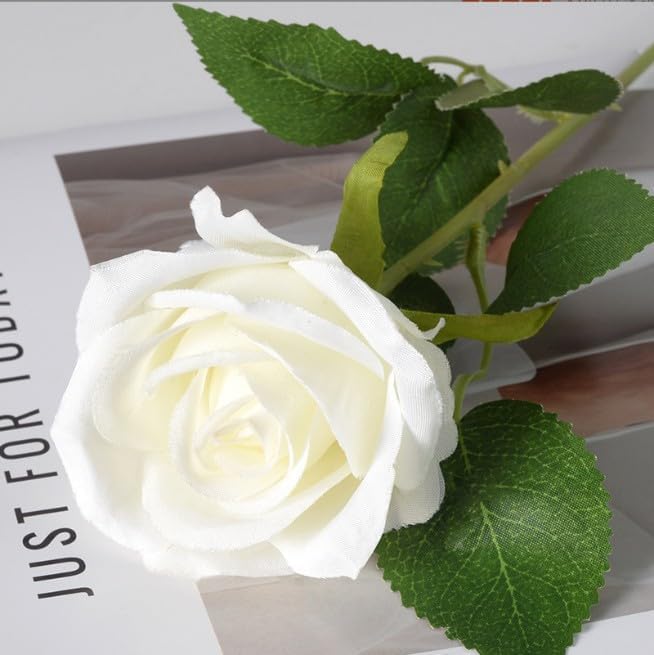 DreamyRetreat 1Pc White Artificial Silk Roses Long Single Stem Artificial Roses for Home Decor Table Centerpiece Arrangement Valentine's Day Gift (19.68in Tall) (White)