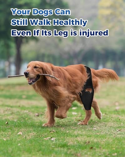 Image of Dog Knee Brace, Dog ACL Brace for Front Torn and Back Hind Rear Legs ACL Tear, Dog Hip Knee Leg Brace for Hip Dysplasia, Dog Arthritis, Luxating Patella, Comfortable and Adjustable - L