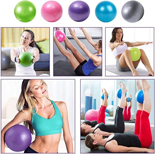 Mini Pilates 6 inch Exercise Ball for Yoga,Small Pilates Core Training and Physical Therapy, Improves Balance Home & Gym & Office with Pump(Purple)