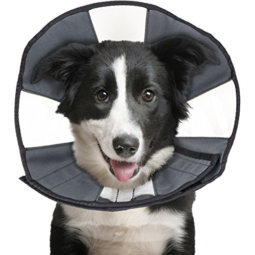 ZenPet ProCone Pet E-Collar for Dogs and Cats - Comfortable Soft Recovery Collar is Adjustable for a Secure and Custom Fit - Easy for Pets to Eat and Drink - Works with Your Pet's Collar - Large