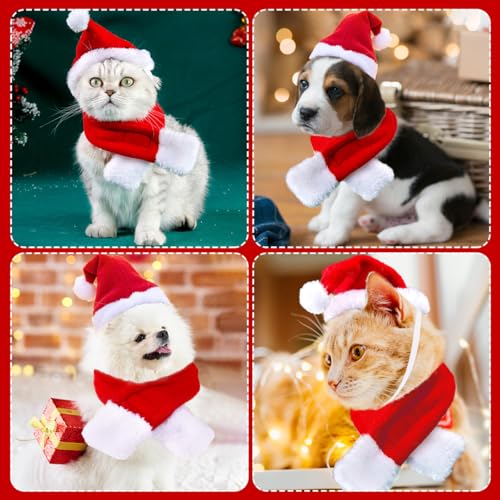 Katzen Hunde Weihnachtskostüm, Haustier Kostüm Weihnachten Kleidung Weihnachtsmütze und Schal für Klein Hund Katze, Rot Katzenbekleidung Hundebekleidung Lustig Mütze Deko Weihnachts Outfit Geschenk