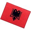 Bandiera del braccio tedesco Germania Eagle Termoadesiva Cucibile
