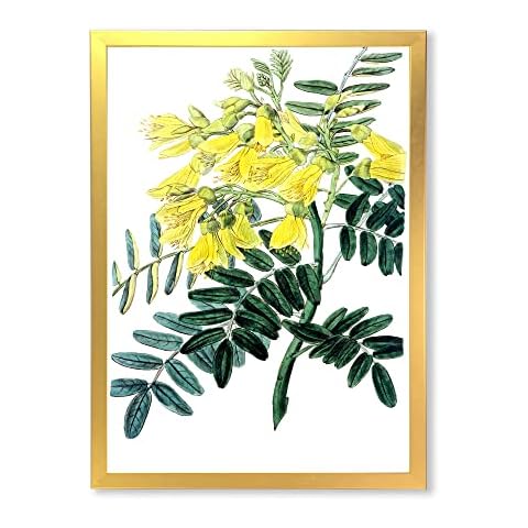 DesignQ Vintage Yellow Flower II Traditional Framed Wall Art Cover