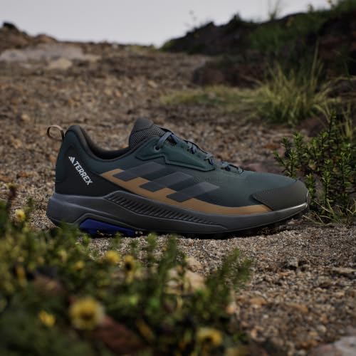 Image of adidas Mens Terrex Anylander Hiking Shoe