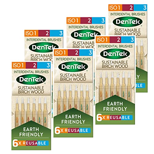 DenTek Earth Friendly Birch Wood - 6 Count x 6 Packs (36 Brushes) - Interdental Brushes Mixed Size Pack ISO1, 2 & 3, Green