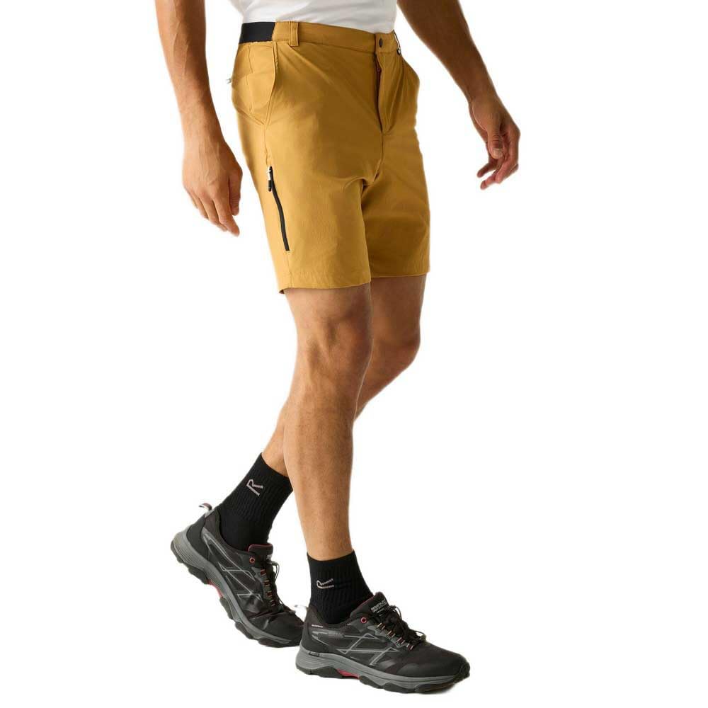 Regatta Herren Shorts A-insttvlltshts