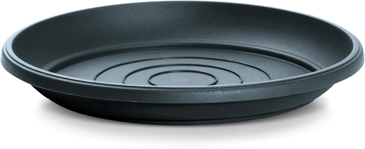 B2C Round Plastic Water Plant Pot Saucer Trays Terracotta Anthracite Weather-Resistant13 sizes 9-54cm (Anthracite, 25cm ⌀)
