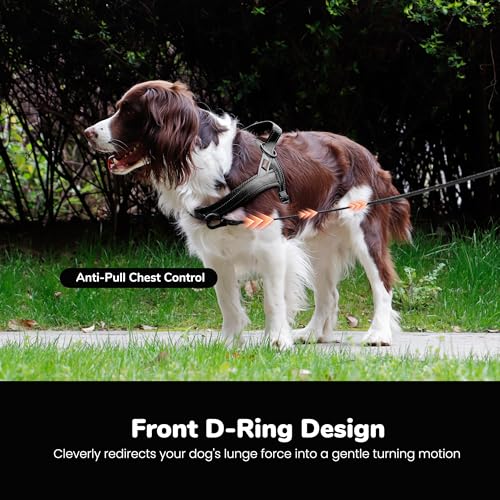 Image of Didog No Pull Dog Harness for Small Dogs, Breathable Mesh Padded, Black, S | Quick Fit, Easy On and Off, Lightweight, Reflective Vest Harness for Night Safty, Easy for Walking and Training, Chest 18-22 inch