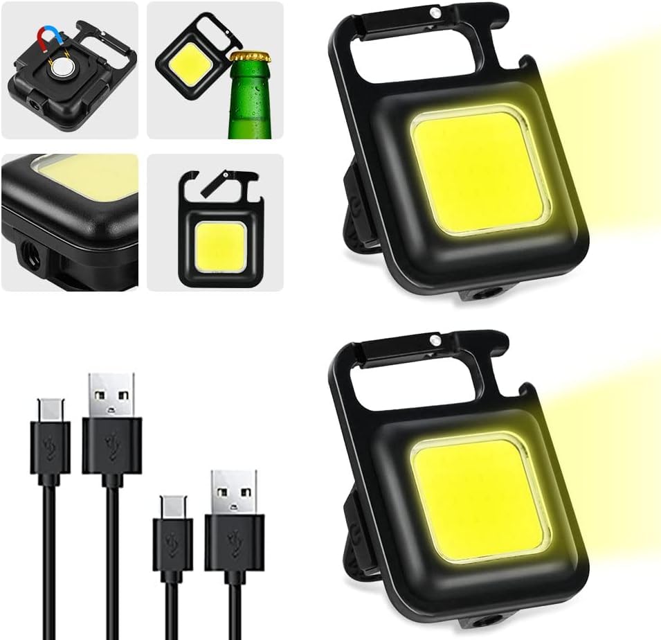 Amazon.co.jp: ZHIFANXN 【4個セット】LED小型懐中電灯 1,000