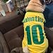 Personalisiert Haustiere Fußball Trikot mit Name/Nummer/Logo Benutzerdefinierte Sommer T-Shirts für Katzen Hund Klein mittelgroße bis große