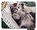 Produktbild Goobull Hängematte Katze Maus Pad, Mauspad (Katzen Mauspad)
