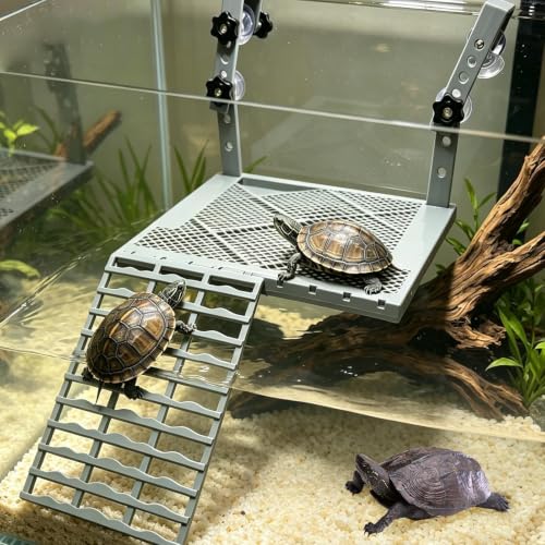 Plataforma de tortugas con clip rampa de escalada estable para ranas 4